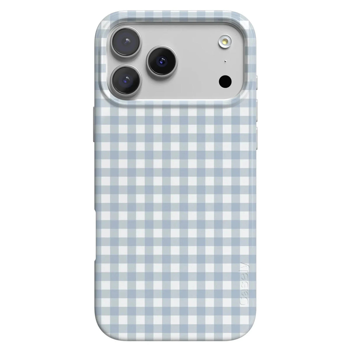 Pastel Picnic | Blue Gingham Case