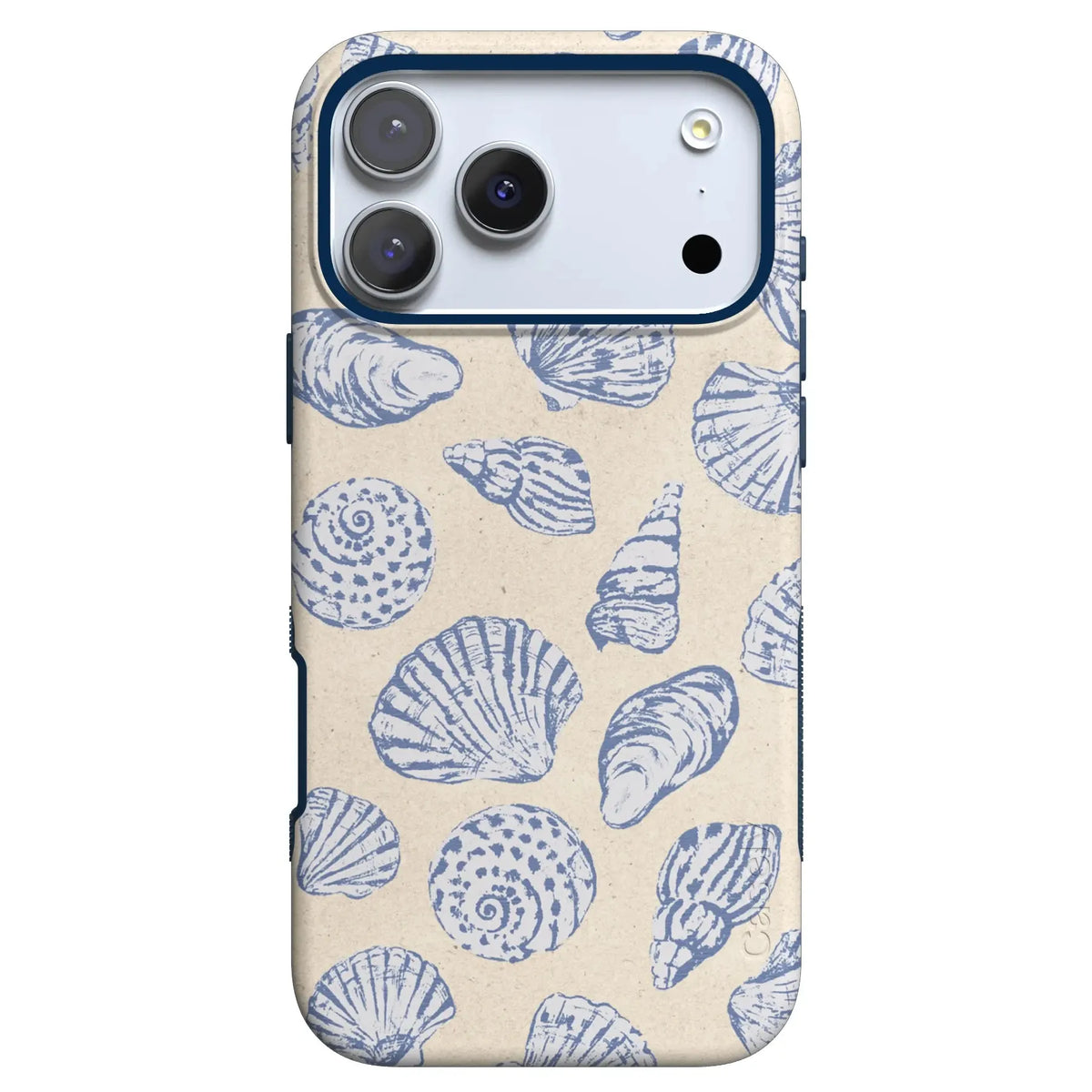 Sally's Seashells | Seashore Case