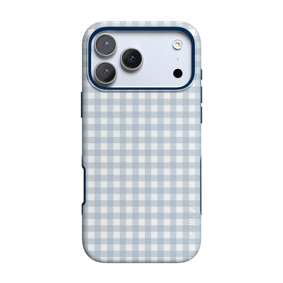 Pastel Picnic | Blue Gingham Case