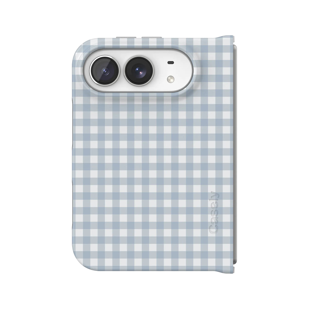 Pastel Picnic | Blue Gingham Case