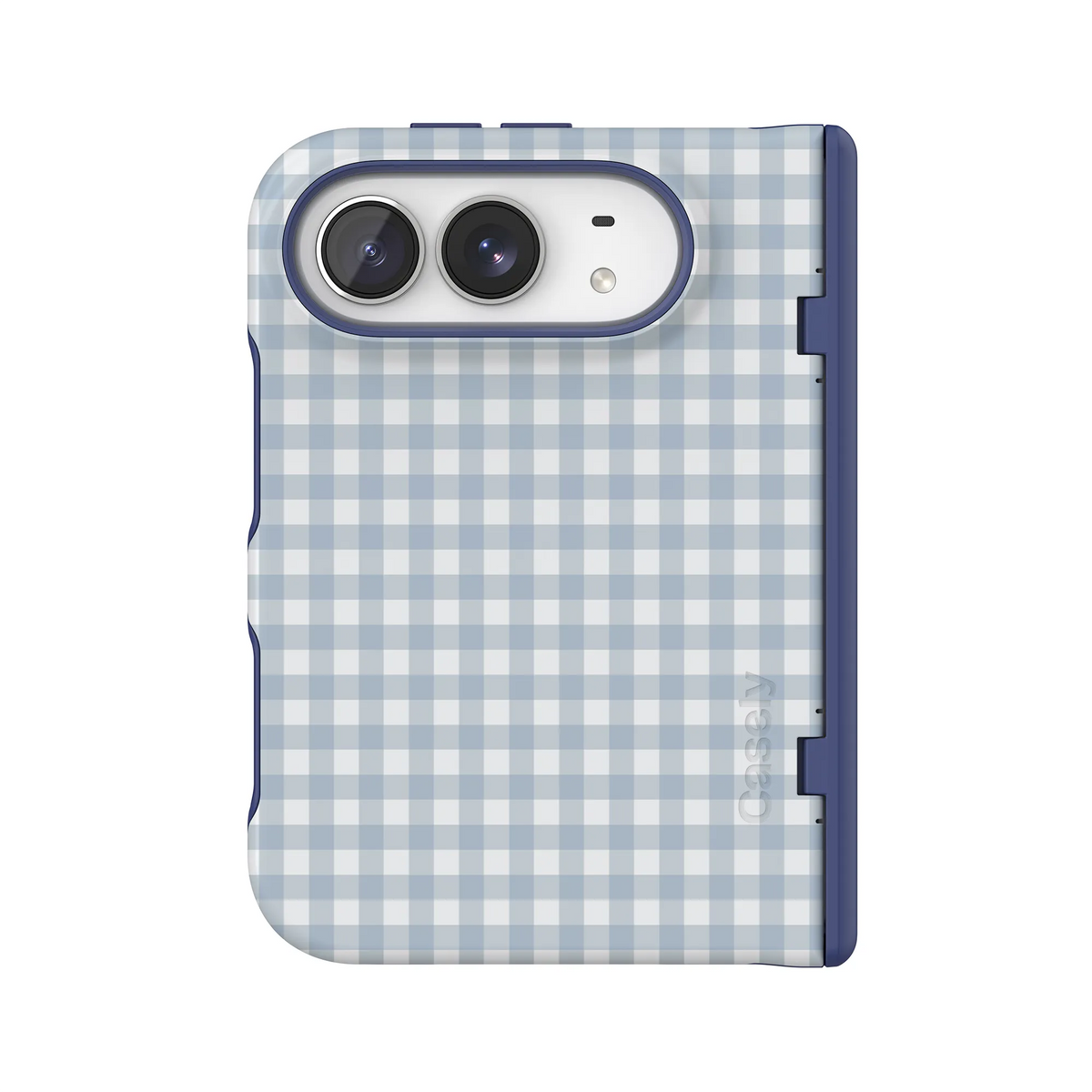 Pastel Picnic | Blue Gingham Case