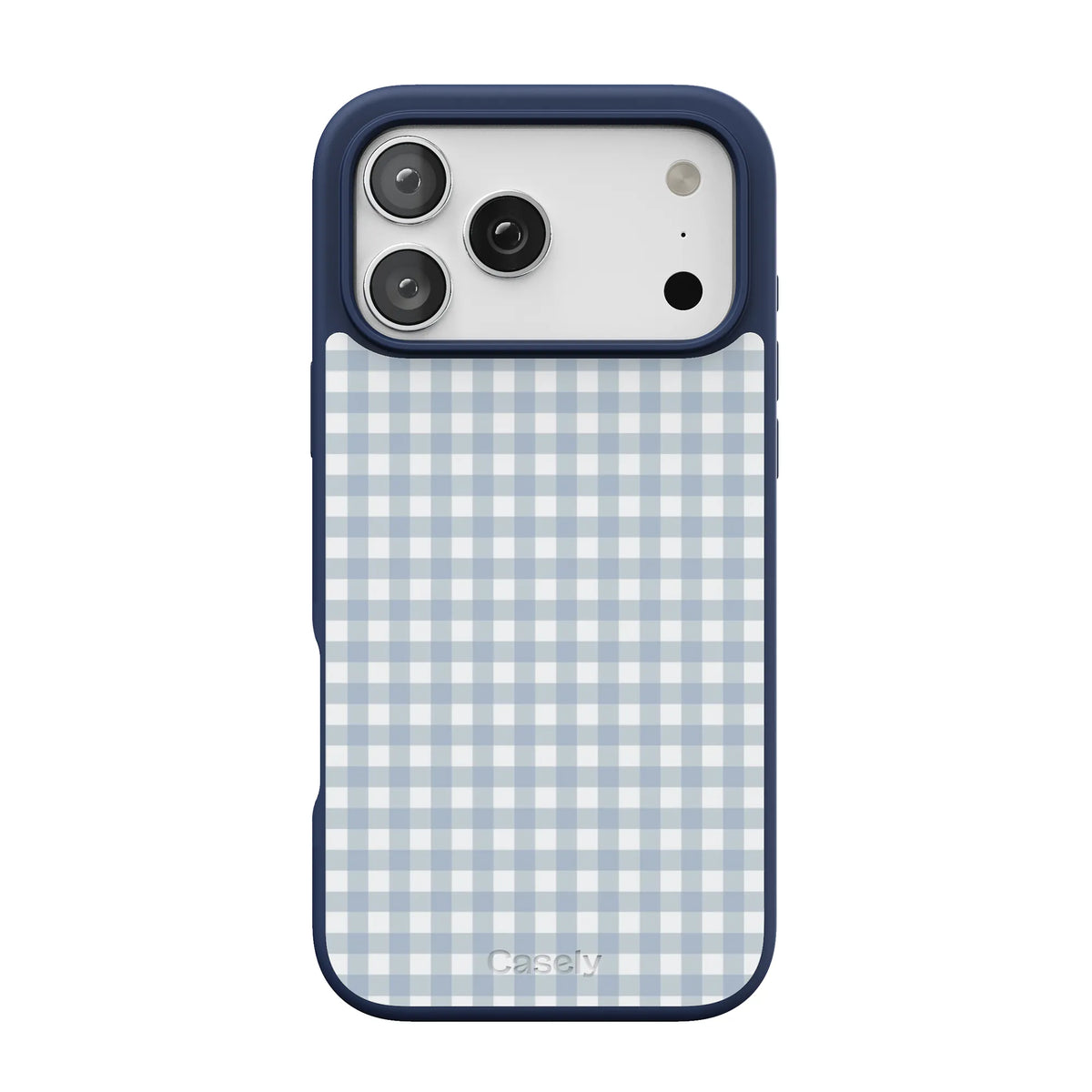 Pastel Picnic | Blue Gingham Case