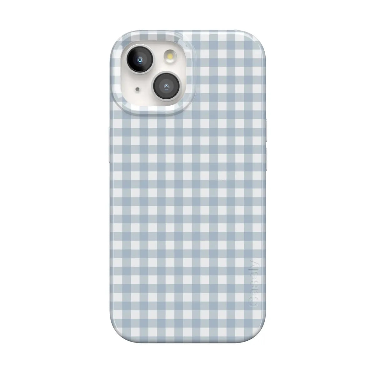 Pastel Picnic | Blue Gingham Case
