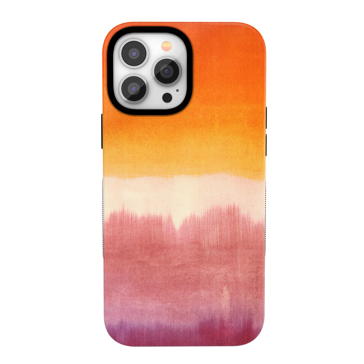 Last Light | Sunwashed Canvas Case