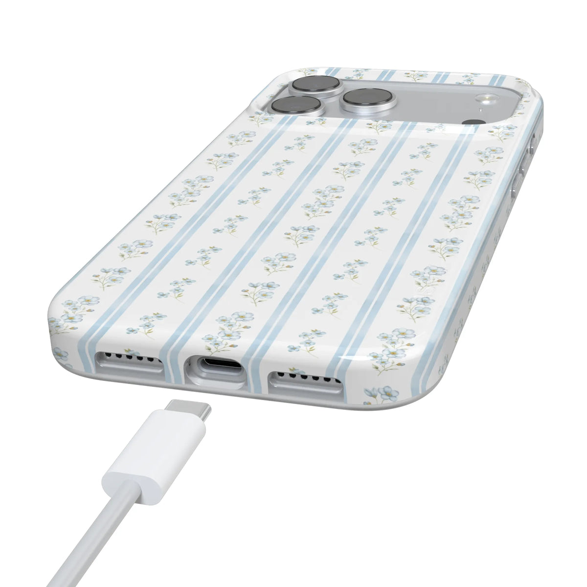 Cottage Stripe | Blue Floral Case