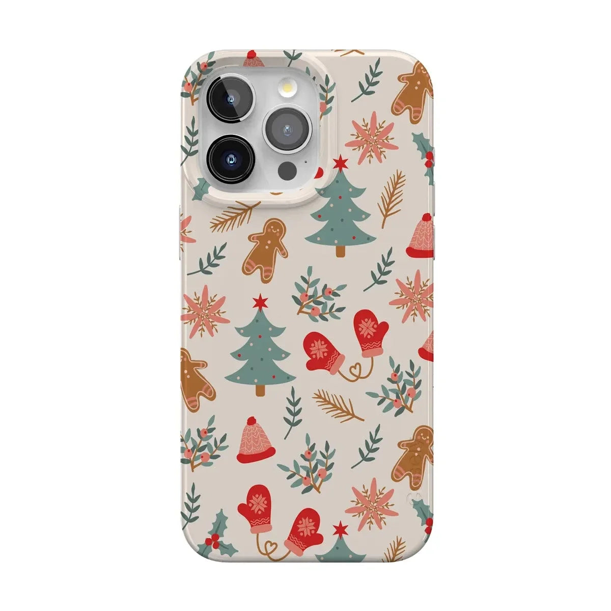 Sugar and Spice | Holiday Cookie Case